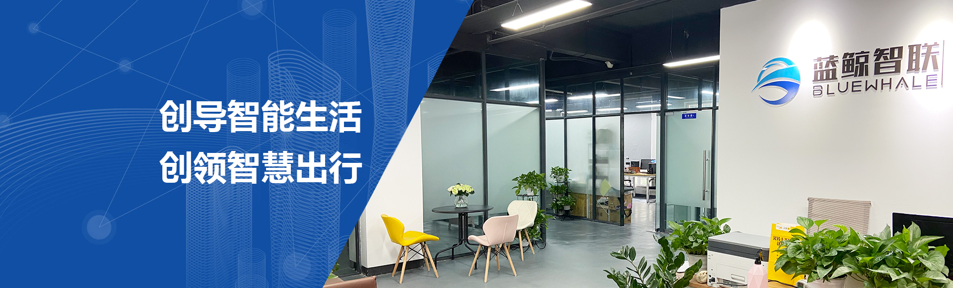 公司介绍